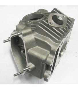 Complete cylinder head yx