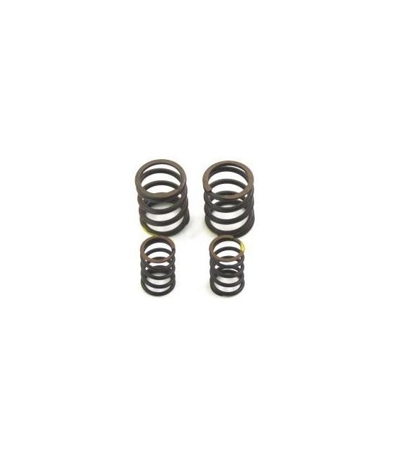 VALVE SPRINGS YX or ZS 