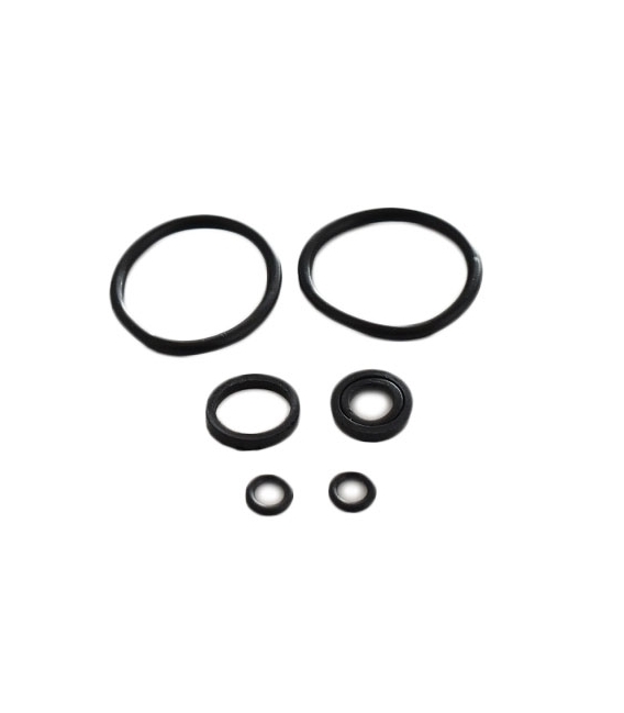 Cylinder head O-rings seal